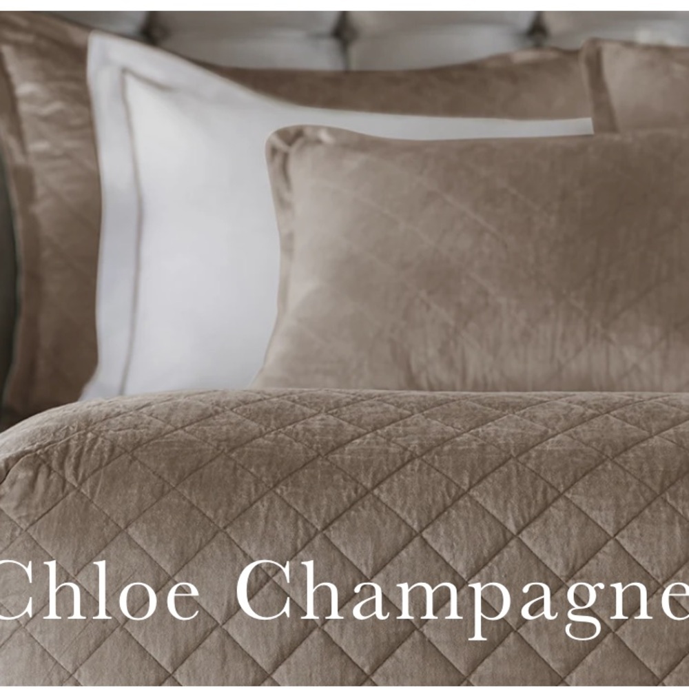 😍Chloe Champagne Velvet King Coverlet by Lilii Alexandra MSRP:$640.00!